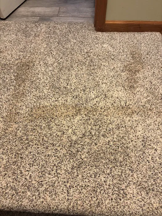 MCT Carpet Care Picture 4