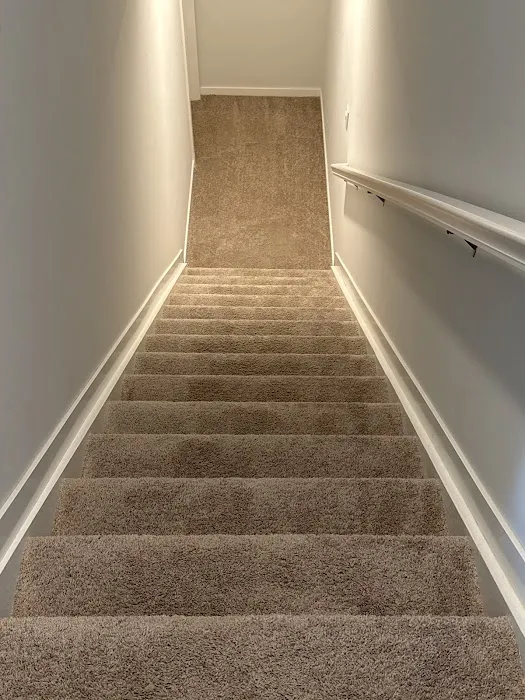 MCT Carpet Care Picture 6