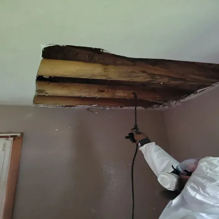 Total Home Water Restoration of Grove City Picture 7