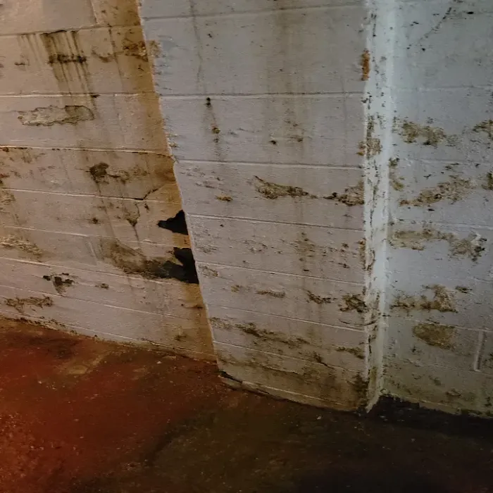 Total Home Water Restoration of Grove City Picture 10