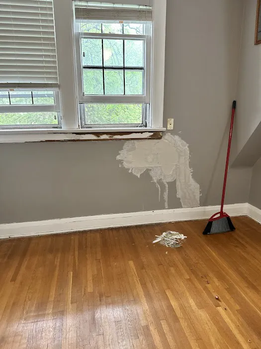 The Handyman Picture 5