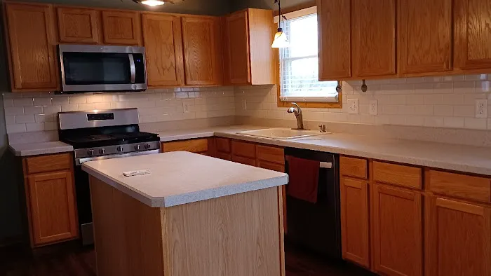 The Handyman Picture 7