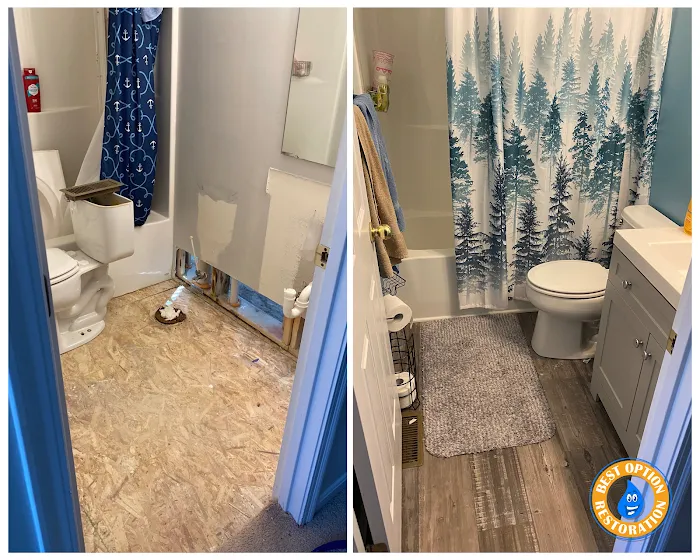 Best Option Restoration of BWC Picture 8