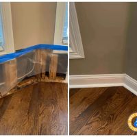 Best Option Restoration of BWC ico