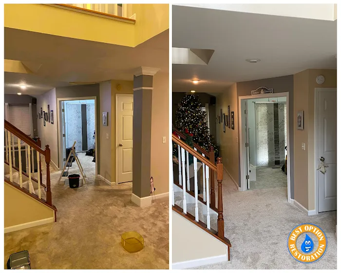 Best Option Restoration of BWC Picture 3