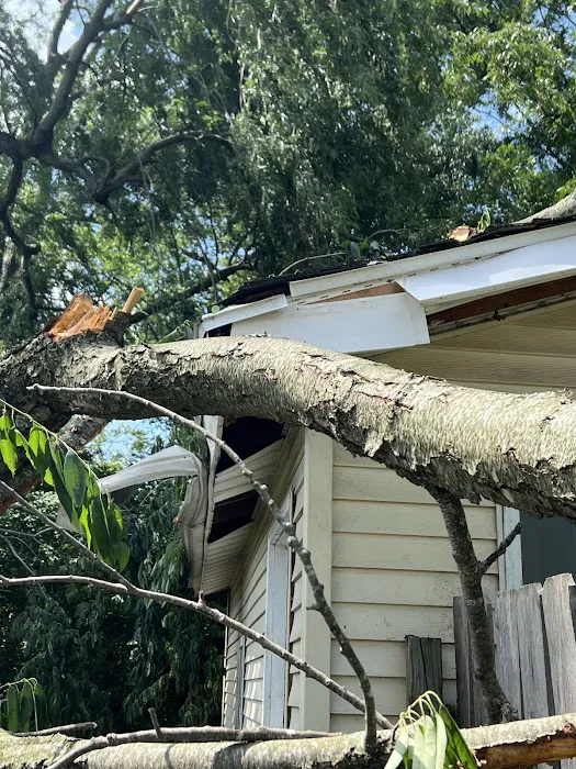 Shamrock Restoration, LLC Picture 7