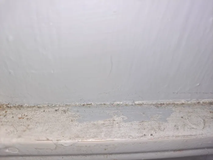 Tri-State Cleaning and Restoration Picture 4