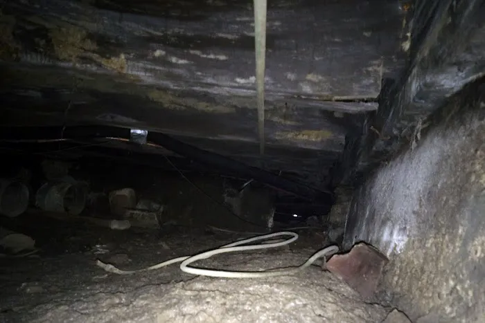 Indiana Mold Remediation Picture 5