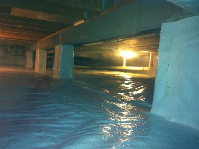 Indiana Mold Remediation Picture 8