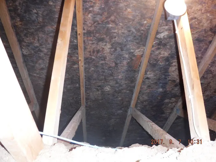 Indiana Mold Remediation Picture 9