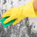 Indiana Mold Remediation