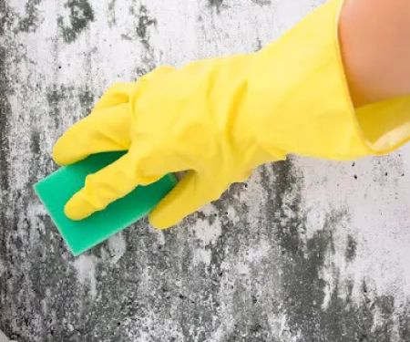 Indiana Mold Remediation
