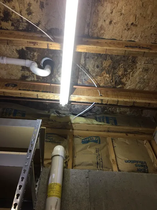 Indiana Mold Remediation Picture 6