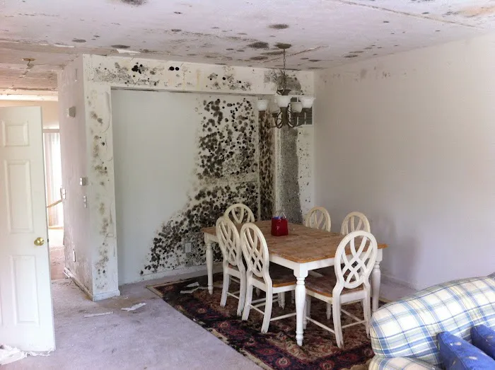 Indiana Mold Remediation Picture 7