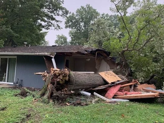 Rainbow Restoration of Carmel Picture 7