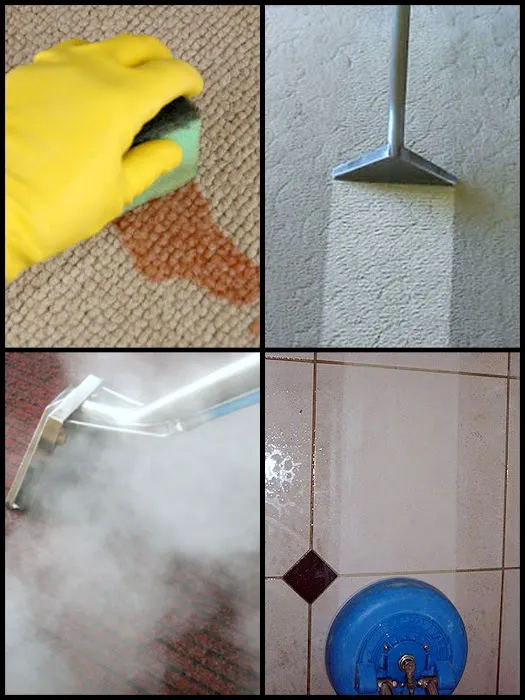 COIT Cleaning & Restoration Picture 9