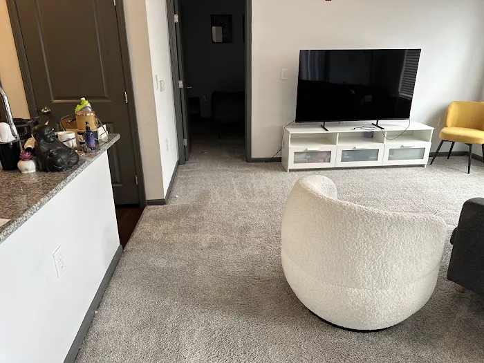 Stanley Steemer Picture 5