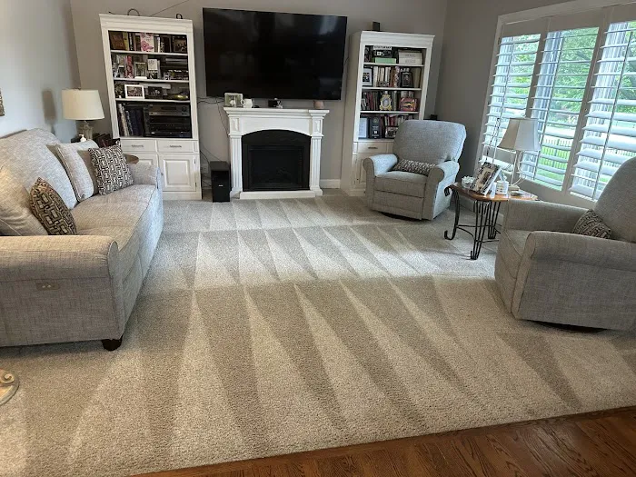 Stanley Steemer Picture 4