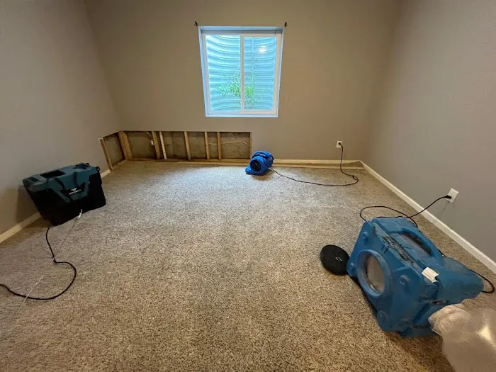 EcoBak Restoration Picture 8