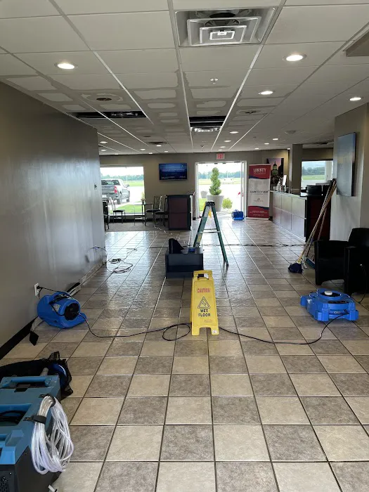 EcoBak Restoration Picture 6