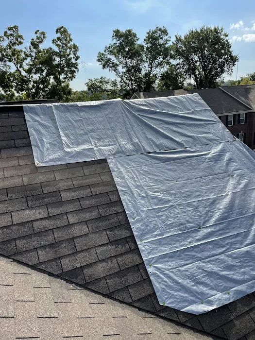 EcoBak Restoration Picture 3