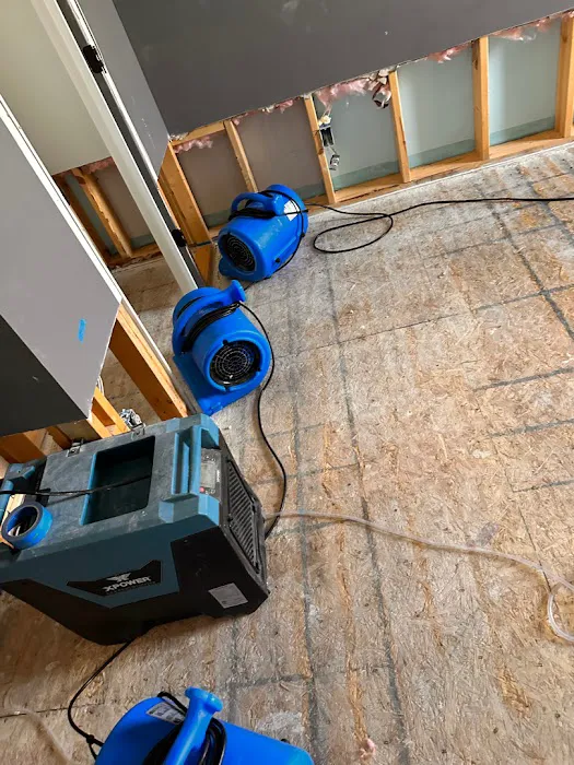 EcoBak Restoration Picture 9