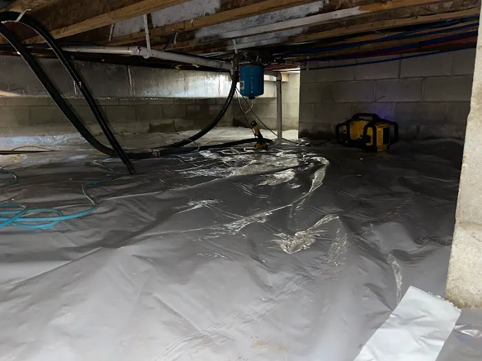 EcoBak Restoration Picture 5