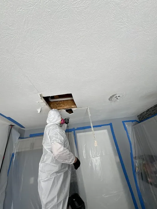 The Dry Out Guys Picture 7