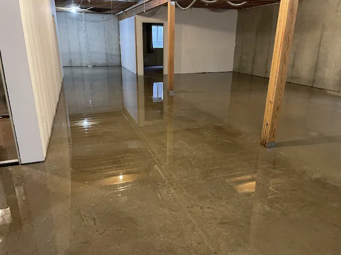 The Dry Out Guys Picture 3