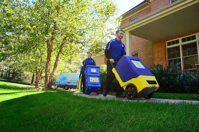 1-800 Water Damage of Greater Indianapolis Picture 3