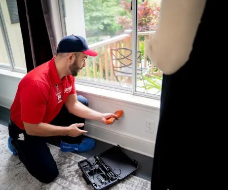 Rainbow International of Greenwood