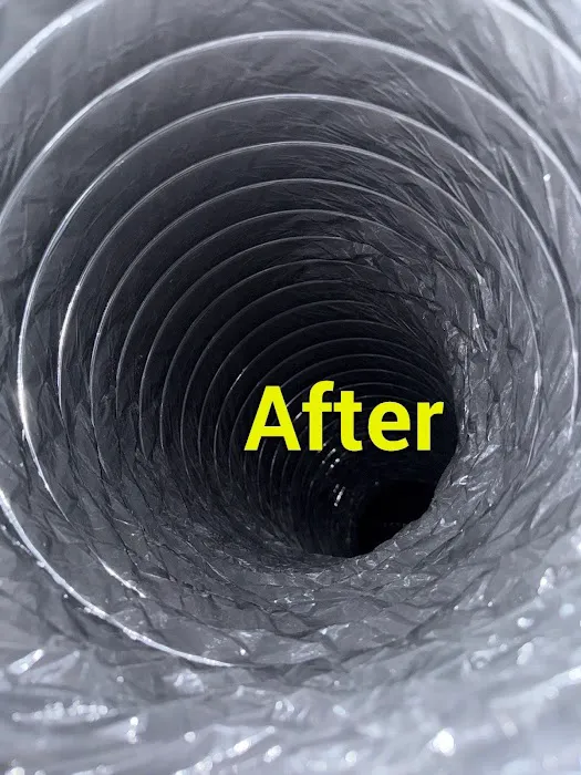 Loyal Remediation Services LLC Picture 7