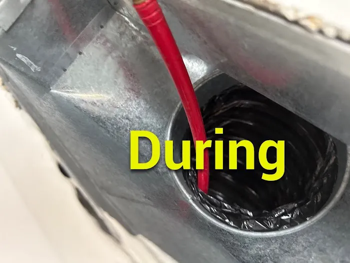 Loyal Remediation Services LLC Picture 3