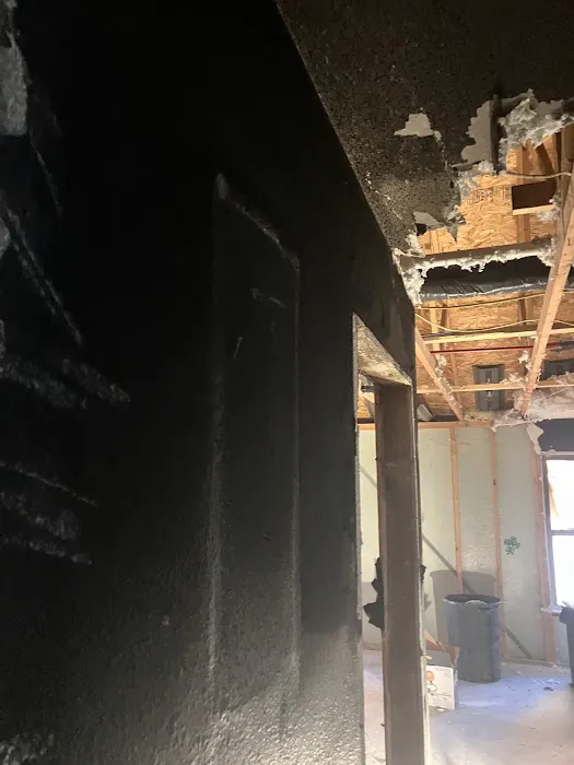 Loyal Remediation Services LLC Picture 4