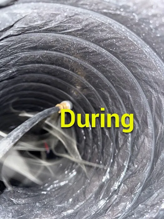 Loyal Remediation Services LLC Picture 10