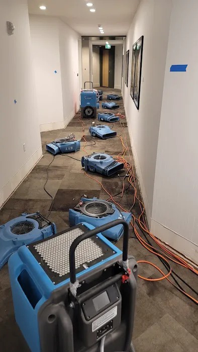 Elite Environmental Picture 3