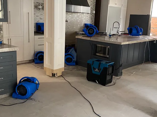 Zoë Cleaning & Restoration Picture 3