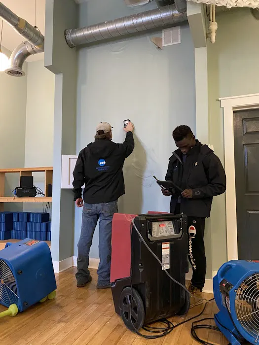 Zoë Cleaning & Restoration Picture 4