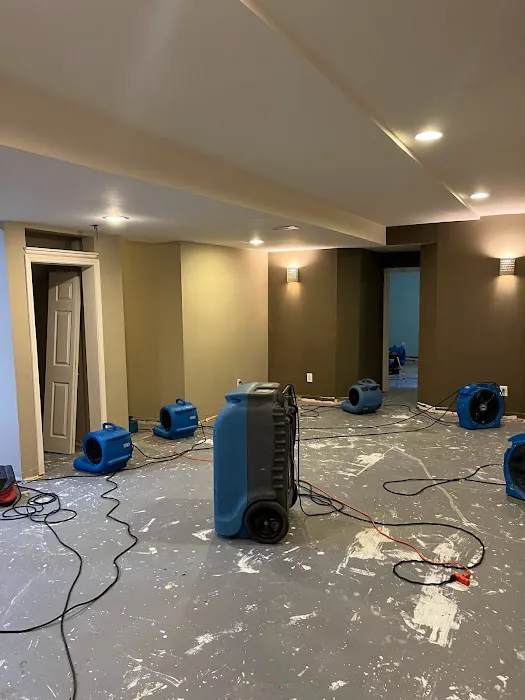 Zoë Cleaning & Restoration Picture 7