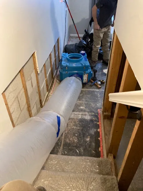 Hays + Sons Picture 4