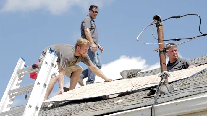 Hays + Sons Picture 9