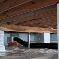 Indiana Foundation Service ico