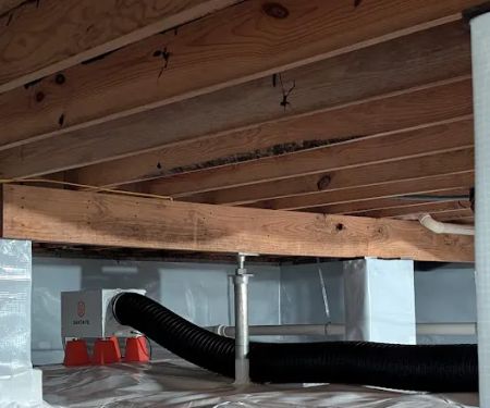 Indiana Foundation Service