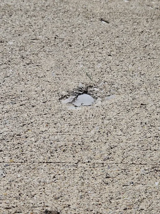 Indiana Foundation Service Picture 8