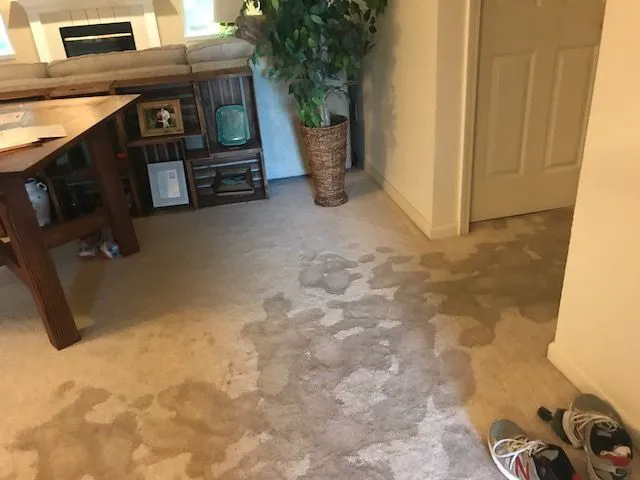 Firestorm Restoration Picture 10