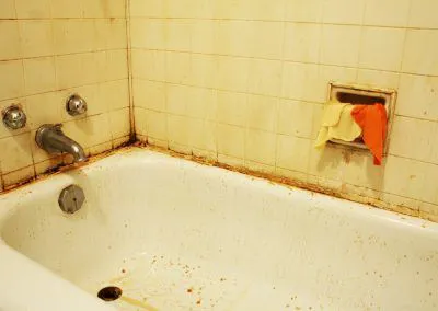 Mold Removal Indianapolis Picture 3