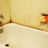 Mold Removal Indianapolis ico