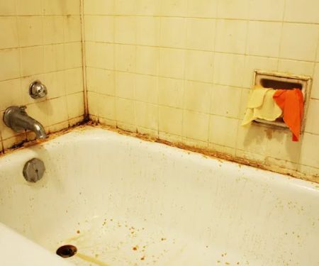 Mold Removal Indianapolis