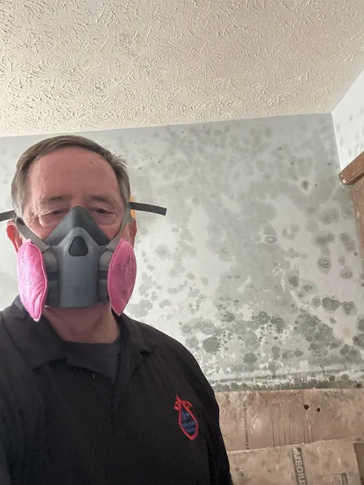 A1 Restoration Picture 1