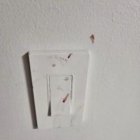 Amerestore - America's Restoration Team ico